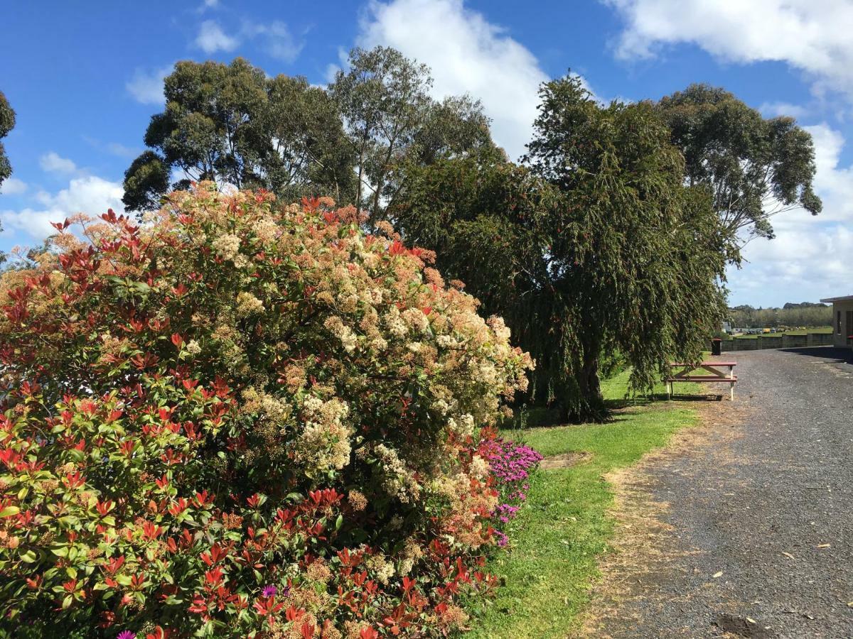 Limestone Coast Tourist Park マウントガンビア エクステリア 写真